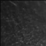 Несколько снов о новом знакомом