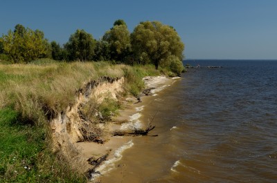 К чему снится берег? Сонник Берег