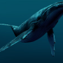К чему снится кит? Сонник Кит