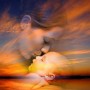 artworks-000100926452-xmqw3q-t500x500