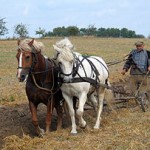 К чему снится пахать? Сонник Пахать