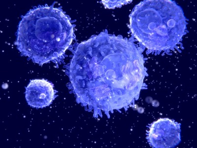 field_image_shutterstock_183635540-lymphocytes