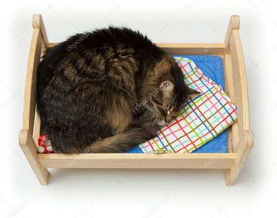 depositphotos_5599076-stock-photo-toy-cradle-and-a-cat