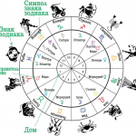 Как определить и рассчитать солнечный знак Зодиака: расчет гороскопа по солнцу