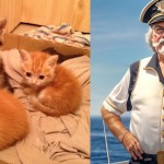 Рыжие котята и командир в черной фуражке