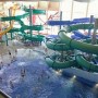 Аквапарк в Москве: куда отправиться за водными приключениями?